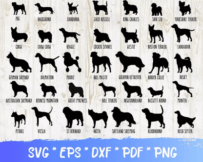 DOG SVG BUNDLE 200+